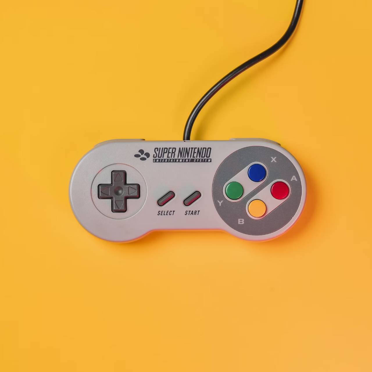 Skin cover